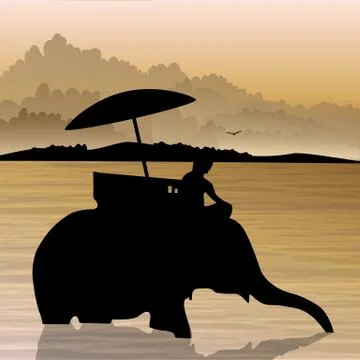 Elephant, wildlife Stock Photos
