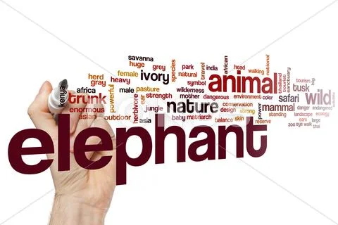 Elephant Word Cloud Concept