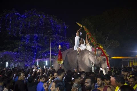 ELEPHANT1 Stock Photos