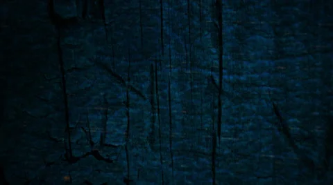 Elephantine Stock Footage 25629278