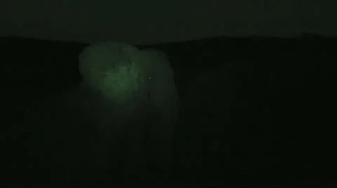 Elephants 31 Stock Footage 10912378