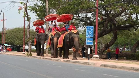 Elephants adorned in vibrant decorations parade through an urban street Vídeo Stock 280937517