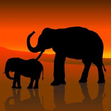 Elephants And Red Sky Stock Illustration