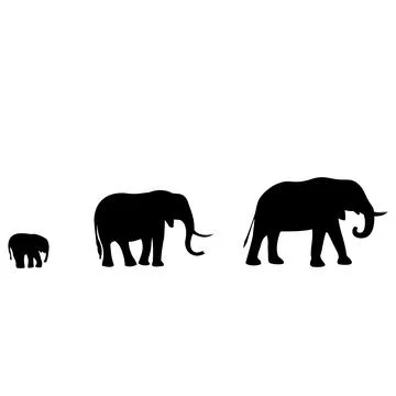 Elephants are in a pack, animals Stock Illustration