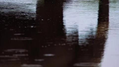 Elephants in Botswana Stock Footage 272224969