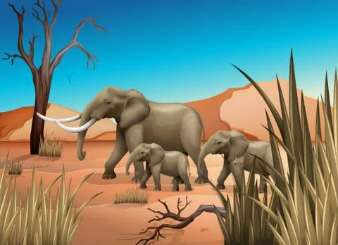 Elephants at the desert Stock Illustration