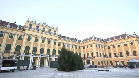 Elephants Devour Vienna's Christmas Tree, Austria Stock Footage 261984962