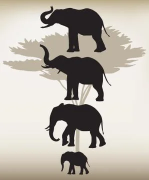 Elephants in Different Poses Stock Illustration