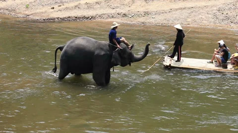 Elephants eject water to Tourists Stock Footage 37467465