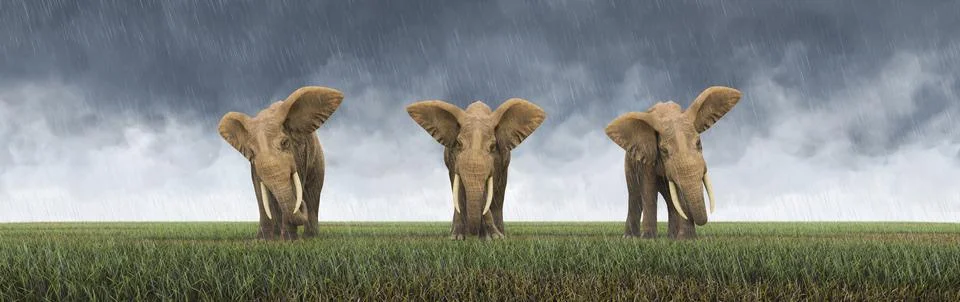 Elephants in a field while it's raining Stock Illustration