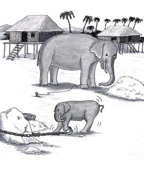 Elephants Held Captive Stock Illustration