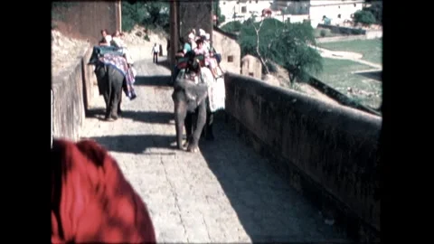 Elephants on Historical Path Stock Footage 276292928
