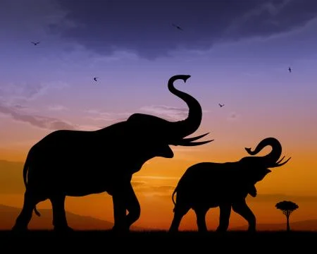 Elephants Stock Illustration