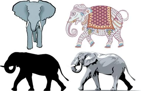 Elephants Stock Illustration