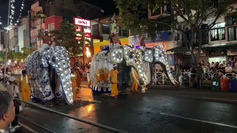 Elephants at The Kandy Esala Perahera, Sri Lanka Stock Footage 318555500