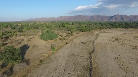 Elephants in Kavinga  Stock Footage 67466208