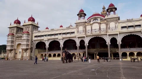 The Elephants majestically walking out of the Mysore Royal Palace in India. Stock Footage 161930065