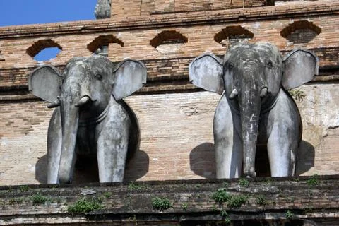Elephants Foto stock