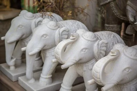 Elephants Stock Photos