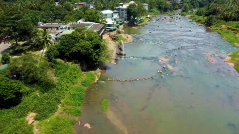 Elephants of Pinnawala orphanage bathing in river. Far to close flight Stock Footage 291101491