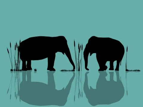 Elephants playing in the water 스톡 일러스트