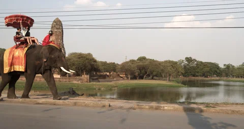 Elephants Ride in Ayutthya Video stock 205610632