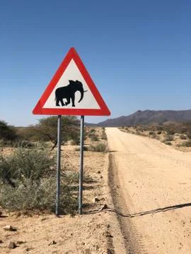 Elephants on the road Stock Photos