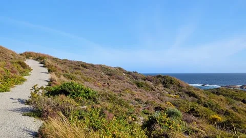 Elephants rocks 4K Panoramic, Denmark WA 库存影片 284230080