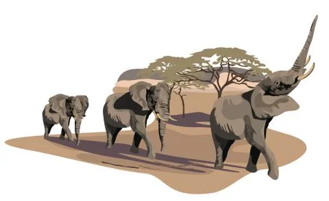 Elephants on Savannah Stock Illustration