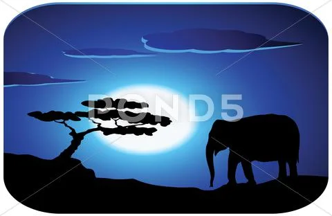 Elephants at sunrise Stock Illustration