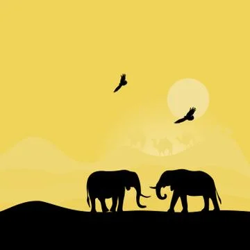 Elephants at sunset Stock Illustration