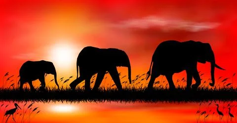 Elephants at sunset by the lake Stock Illustration