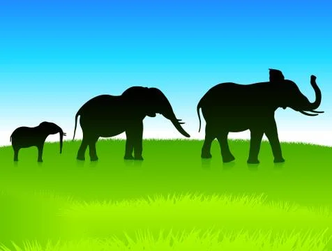 Elephants in the wild Stock Illustration