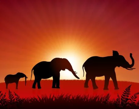 Elephants in the wild Stock Illustration
