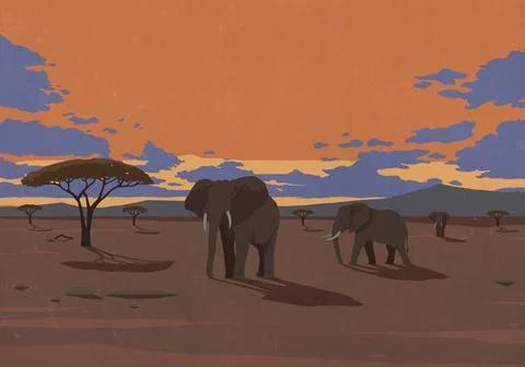 Elephants in the wild under dramatic sunset sky Stock Illustration