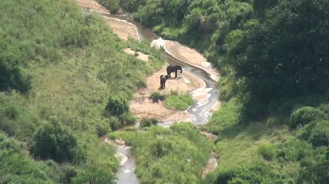 ElephantValley1 Stock Footage 11070252