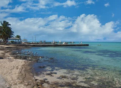 Eleuthera Seashore Stock Photos