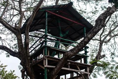 Elevated cabin resting on tree trunk Stock Photos