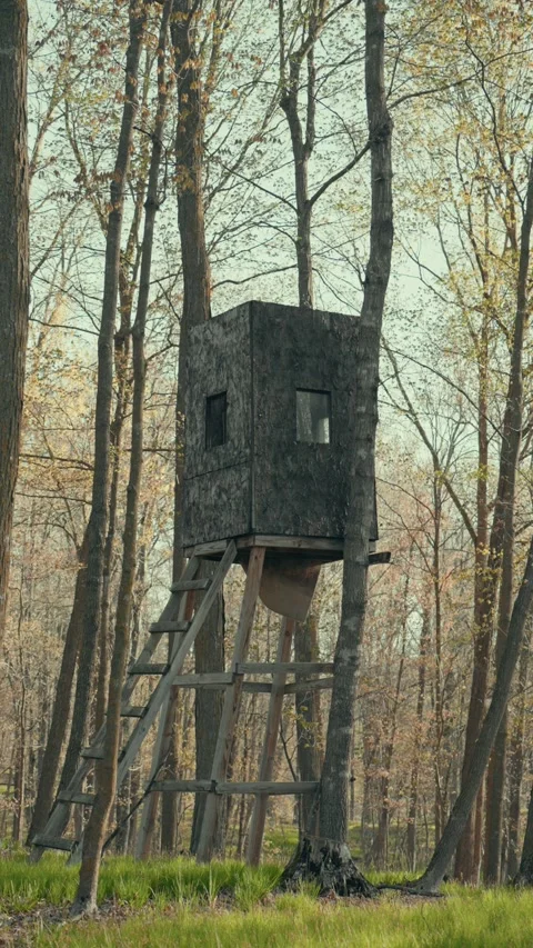 Elevated Deer Hunting Blind Box Stand Autumn Forest Wisconsin USA Stock Footage 337227527