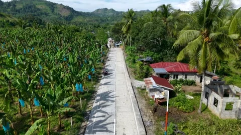 Elevated Drone Shot of Provincial Concrete Road of Banana Farm and Rural Road Stock Footage 326092913