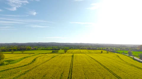 Elevated drone view over patchwork rapeseed fields and green countryside with Stock-Footage 336717889