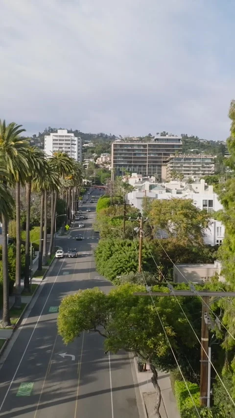 Elevated footage of town development and lot of greenery in residential urban bo Stock-Footage 337414586