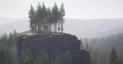 Elevated forest grove stands alone atop a rocky cliff in misty landscape Stock Illustration