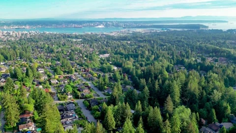 Elevated Forest Suburb Overlooking Coastal City Skyline and Bay Stock Footage 328160848