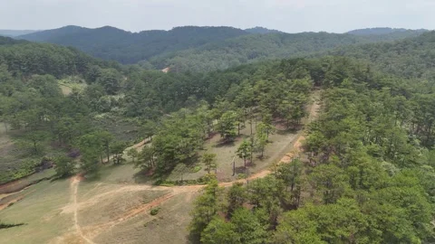 Elevated Forward Drone Toward Pine Hill Under Misty Humid Horizon 스톡 동영상 337013144