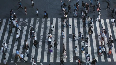 Elevated High Angle / Top Down Shot of the People Walking on Pedestrian Crossing Stock Footage