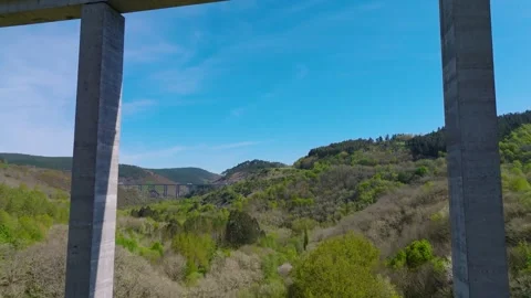 Elevated Highway Over The Dense Forest Stock Footage 274301721