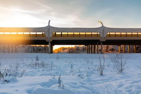 Elevated highway through the winter forest at sunset Stock Photos