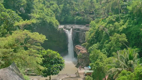 Elevated Jungle View, Tegenungan Waterfall, Bali Vídeo Stock 336637164
