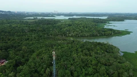 Elevated Landscape: Lush Forest Canopy Embraces Calm Water Bodies with a To.. Video stock 339031810